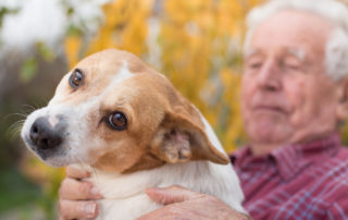 The Various Benefits of Pets for Older Adults