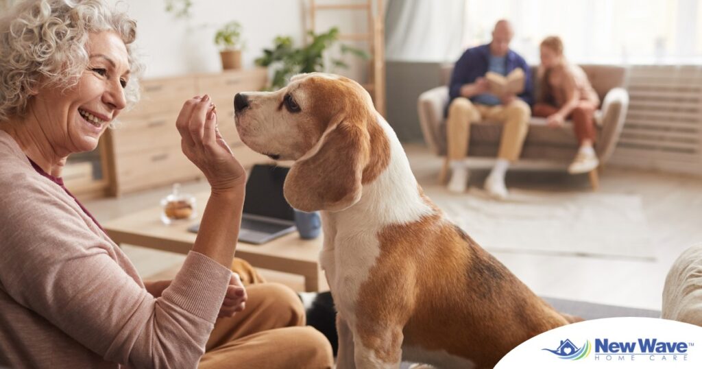An older woman smiles while giving a dog a treat, representing the joy that dogs can bring.