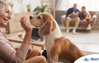 An older woman smiles while giving a dog a treat, representing the joy that dogs can bring.