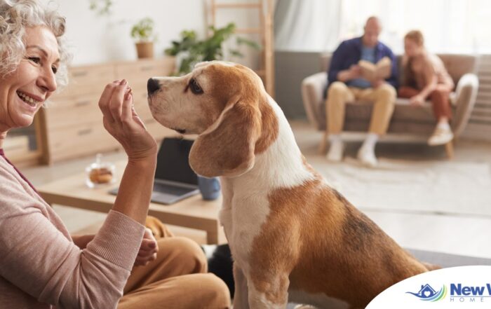 An older woman smiles while giving a dog a treat, representing the joy that dogs can bring.