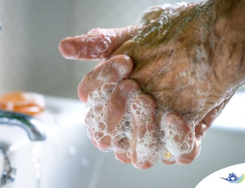 The Daily Habits Behind Effective Infection Prevention in Seniors
